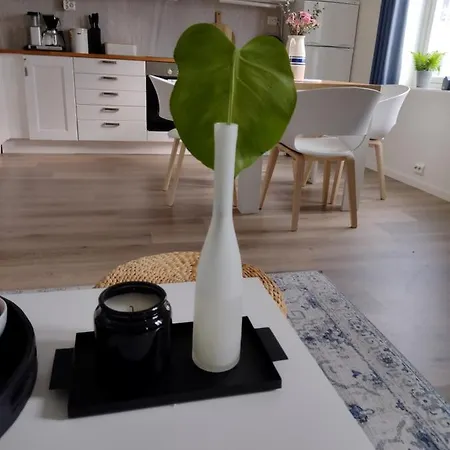 Light With Free Parking Ålesund